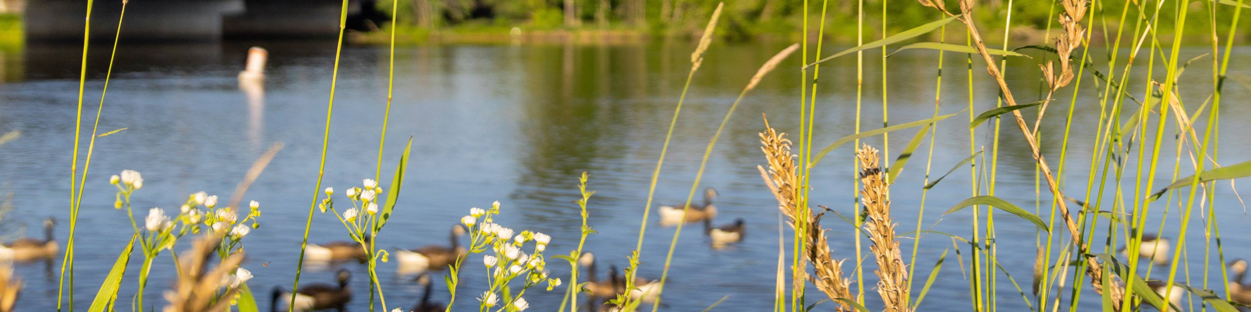 Welcome to the Village of Machesney Park